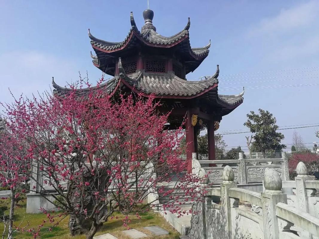 深耕胶粘十二载，技术赋能启新程——浙江德洋胶粘制品有限公司发展纪实